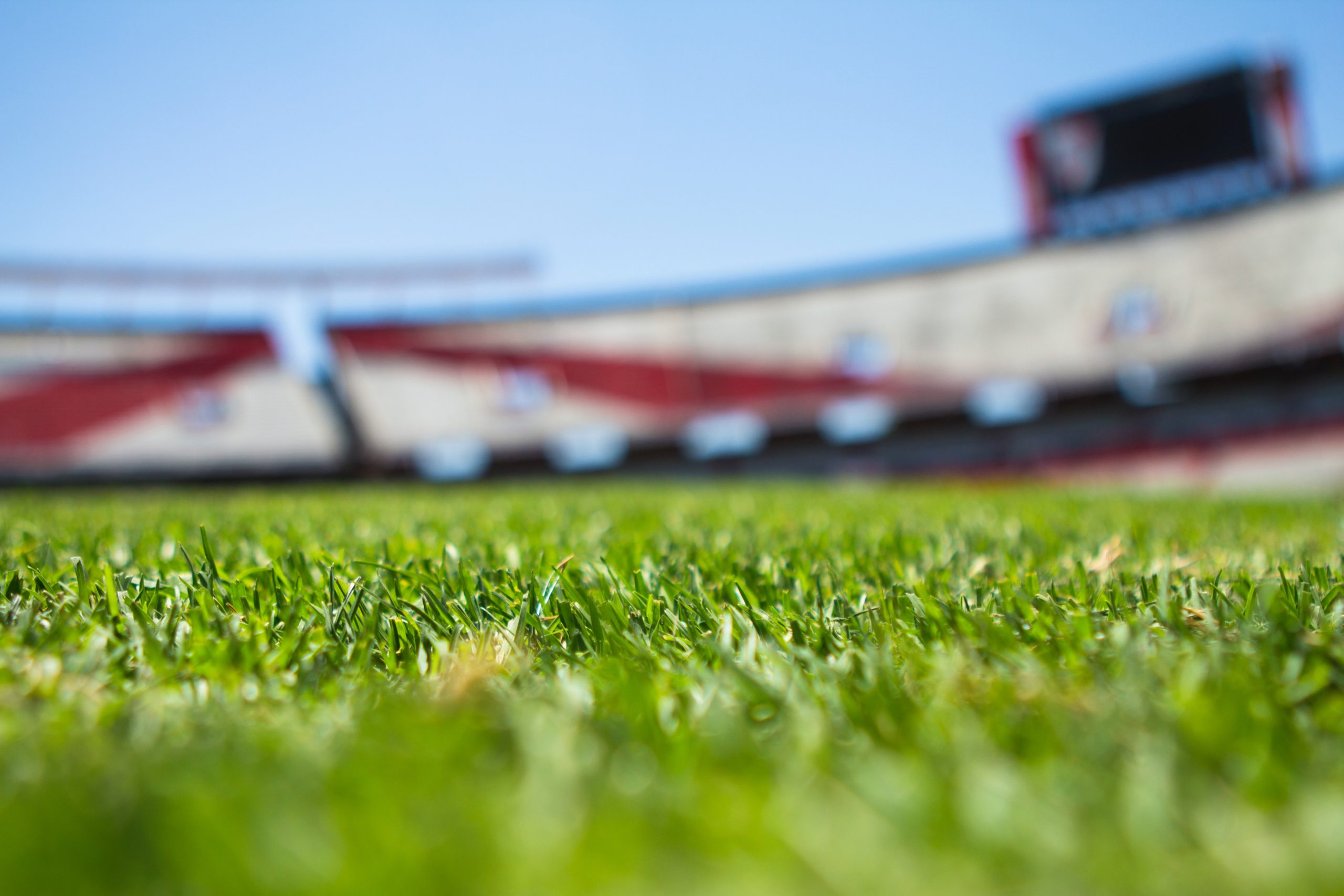 Grass on a Football Field in a Stadium