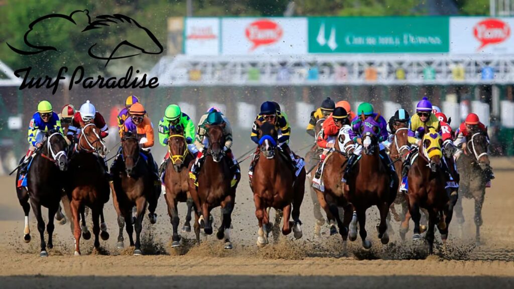 4b49a7f0-624a-4ccd-8544-fd4aba449d98