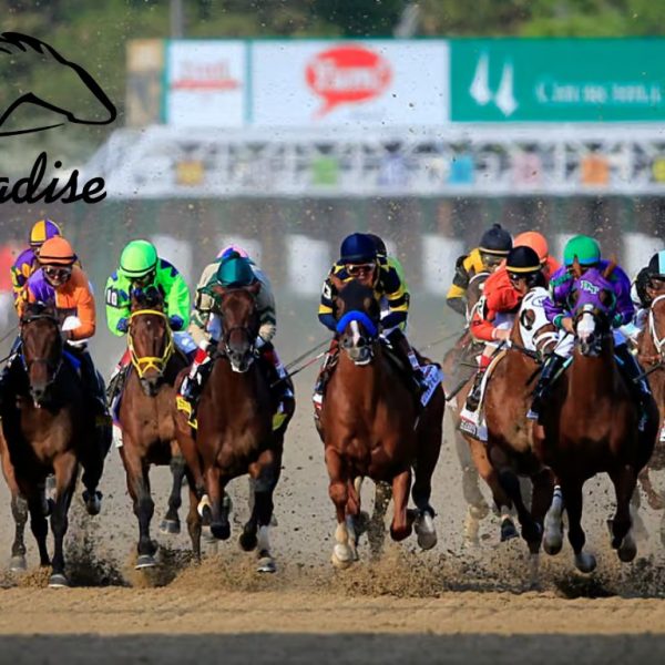 4b49a7f0-624a-4ccd-8544-fd4aba449d98