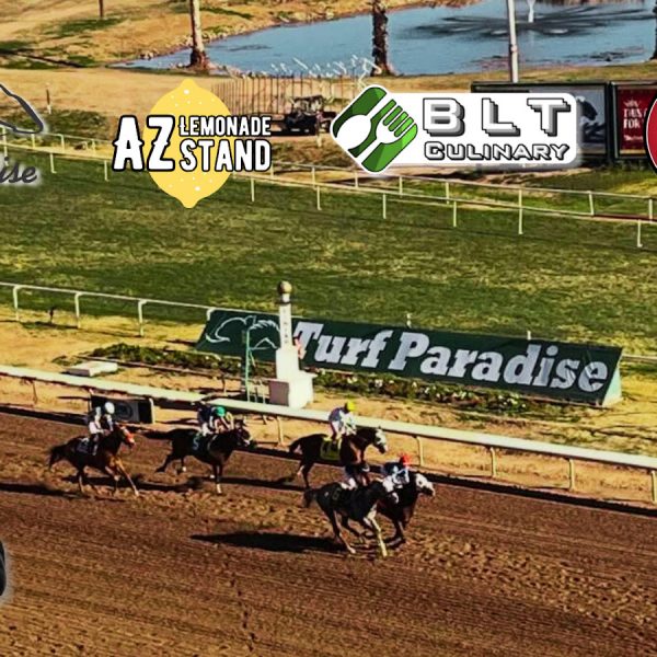 Experience-Live-Racing-and-Gourmet-Catering-at-Turf-Paradise-imgExperience-Live-Racing-and-Gourmet-Catering-at-Turf-Paradise