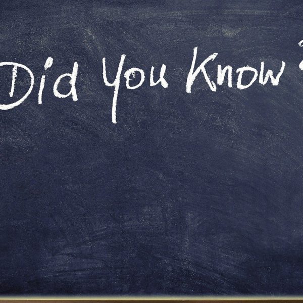 black board: "did you know?"